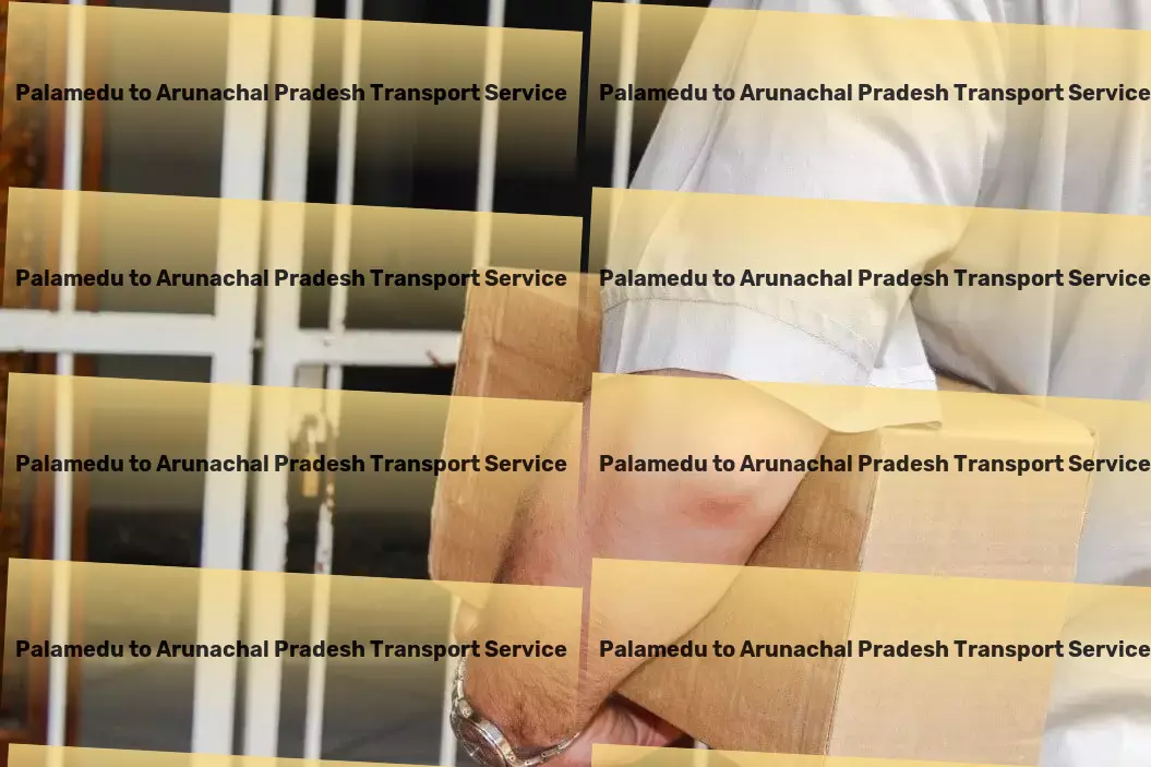 Palamedu to Arunachal Pradesh Transport Third-party logistics