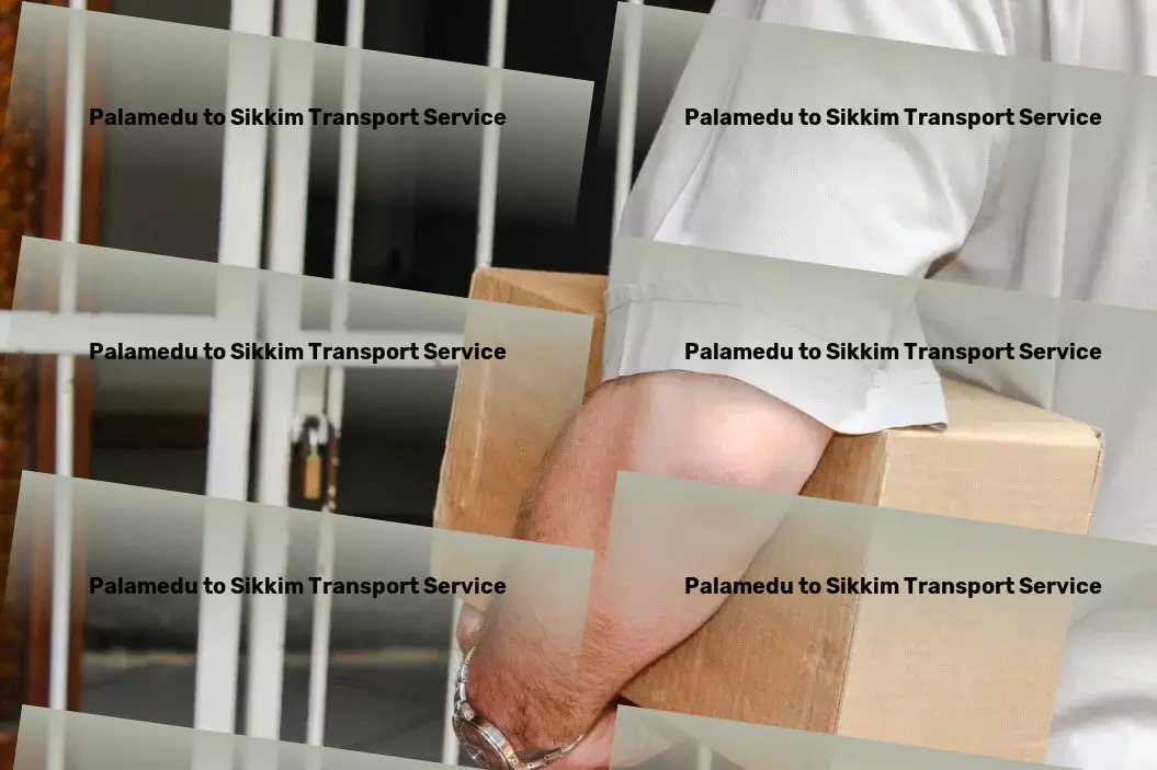 Palamedu to Sikkim Transport Simplify your shipments with our efficient Indian logistics! - Long-distance logistics services