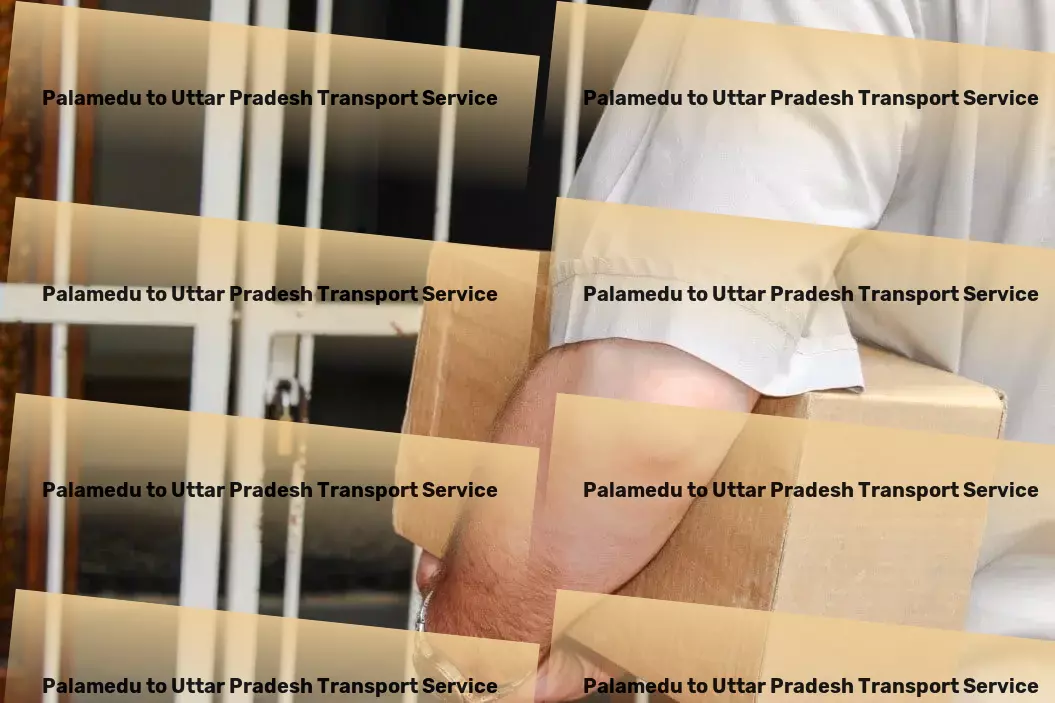 Palamedu to Uttar Pradesh Transport Stay informed with insights into global events. - Efficient parcel freight