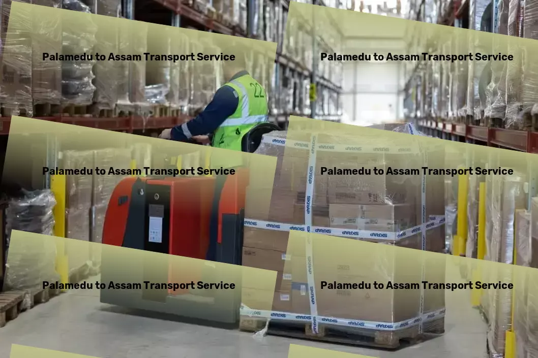 Palamedu to Assam Transport Global freight services