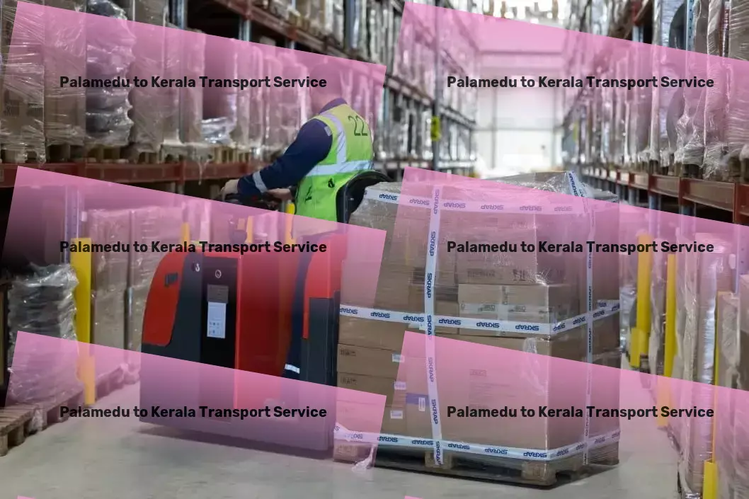 Palamedu to Kerala Transport Import export courier services