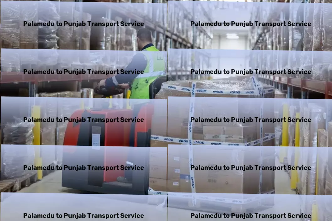 Palamedu to Punjab Transport Multi-regional freight logistics