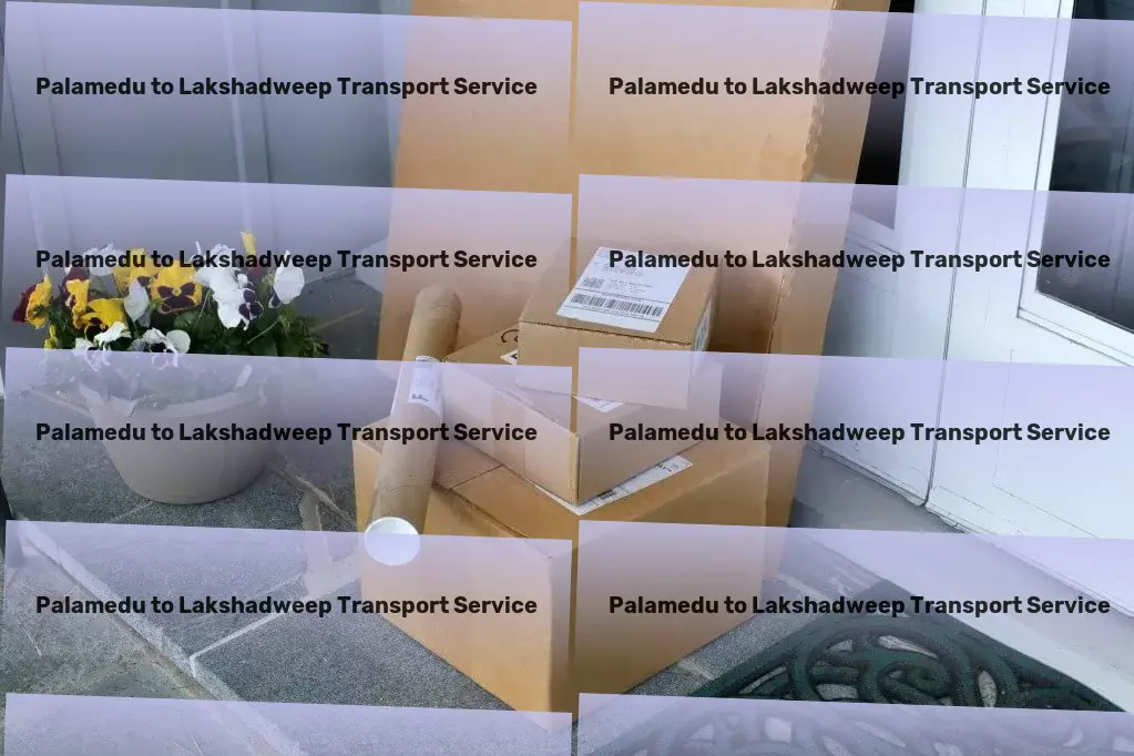 Palamedu to Lakshadweep Transport Dedication meets innovation in every shipment we oversee. - Nationwide package logistics