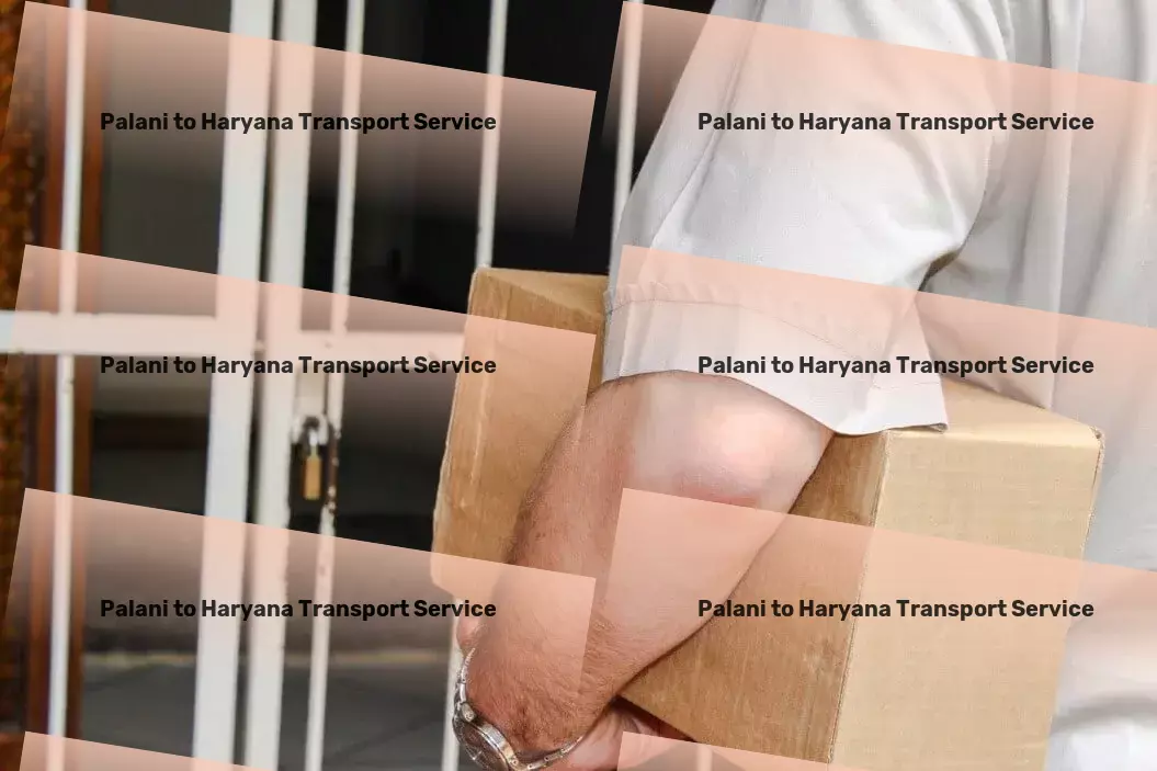 Palani to Haryana Transport Customized logistic strategies that push boundaries. - Multi-regional package services