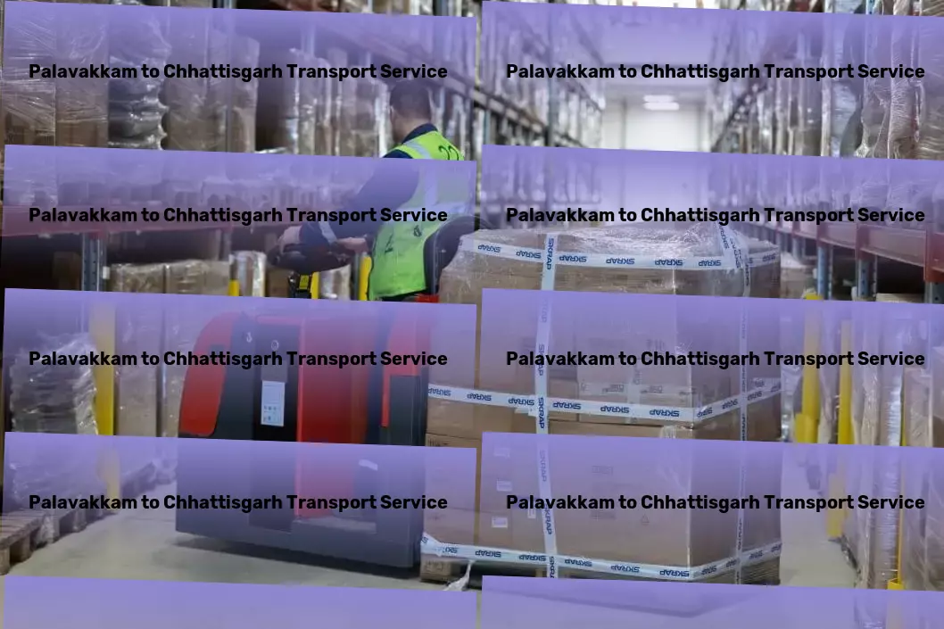 Palavakkam to Chhattisgarh Transport Professional logistics services