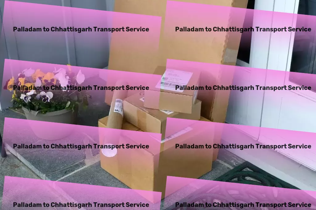 Palladam to Chhattisgarh Transport Customized freight services