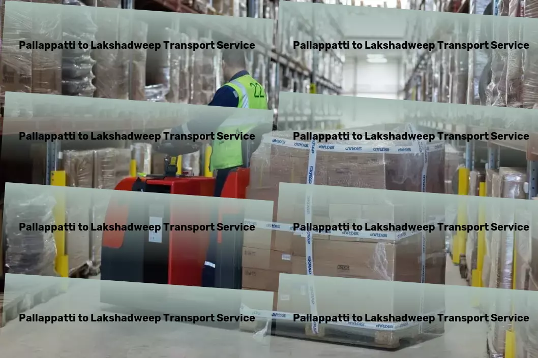 Pallappatti to Lakshadweep Transport Comprehensive road freight