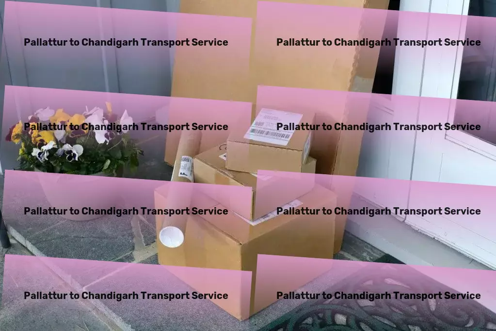 Pallattur to Chandigarh Transport Avoid common fitness mistakes for better results. - Nationwide courier solutions