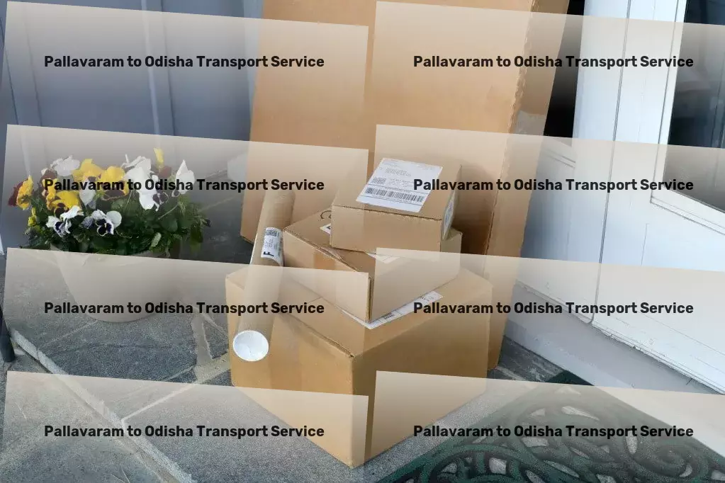 Pallavaram to Odisha Transport Specialized freight delivery