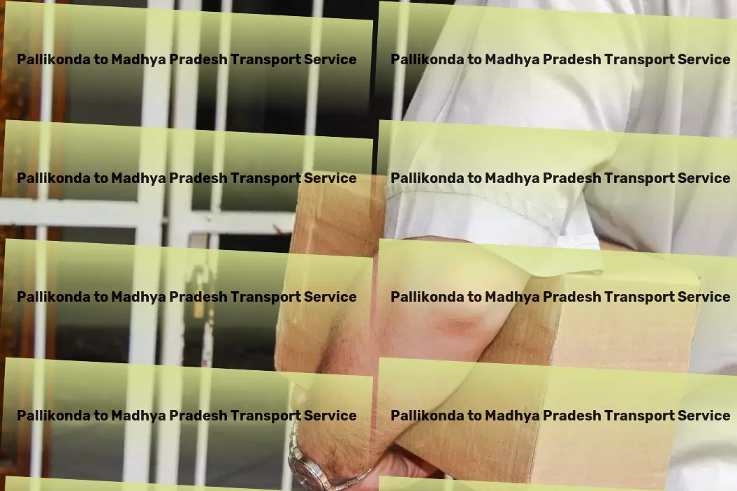 Pallikonda to Madhya Pradesh Transport High-speed logistics services