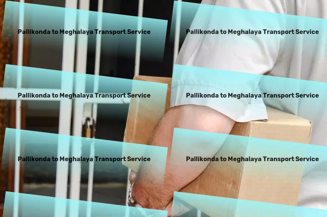 Pallikonda to Meghalaya Transport International logistics provider