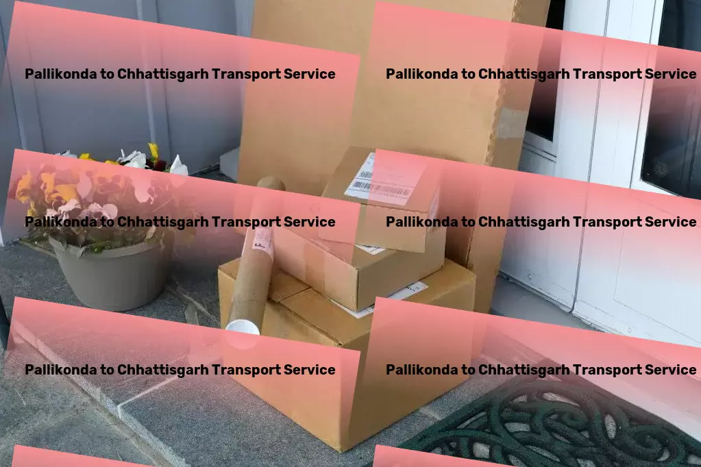 Pallikonda to Chhattisgarh Transport Fast freight solutions