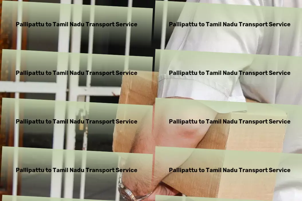 Pallipattu to Tamil Nadu Transport City-to-city freight solutions