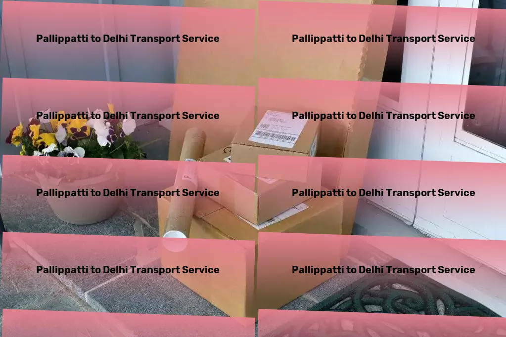 Pallippatti to Delhi Transport Express freight and shipment