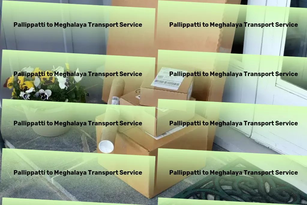 Pallippatti to Meghalaya Transport Scheduled delivery services