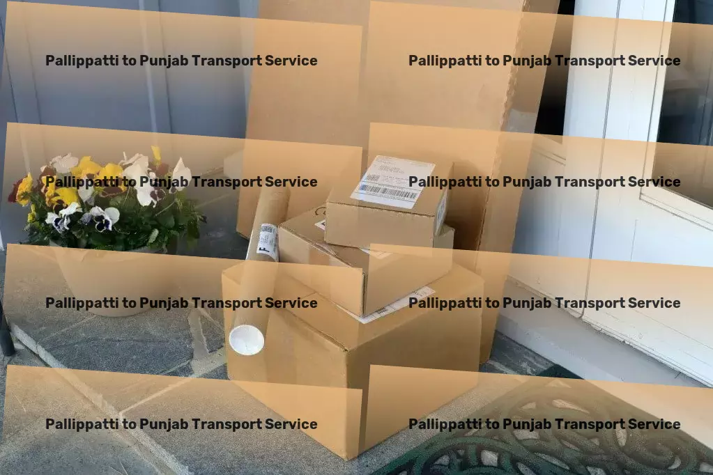 Pallippatti to Punjab Transport Nationwide package delivery