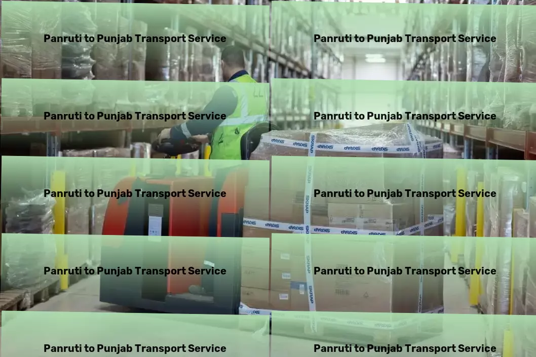 Panruti to Punjab Transport Professional moving services