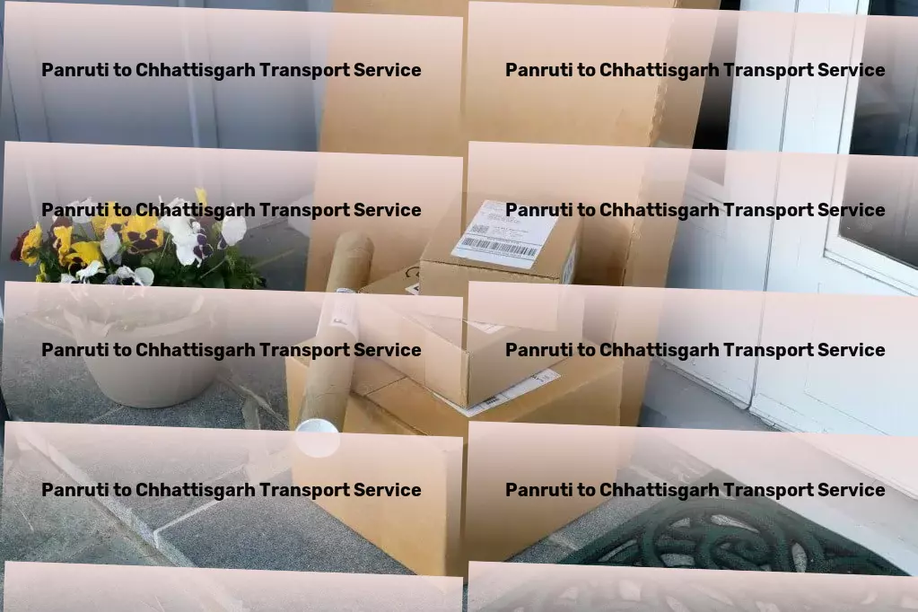 Panruti to Chhattisgarh Transport Package shipping services