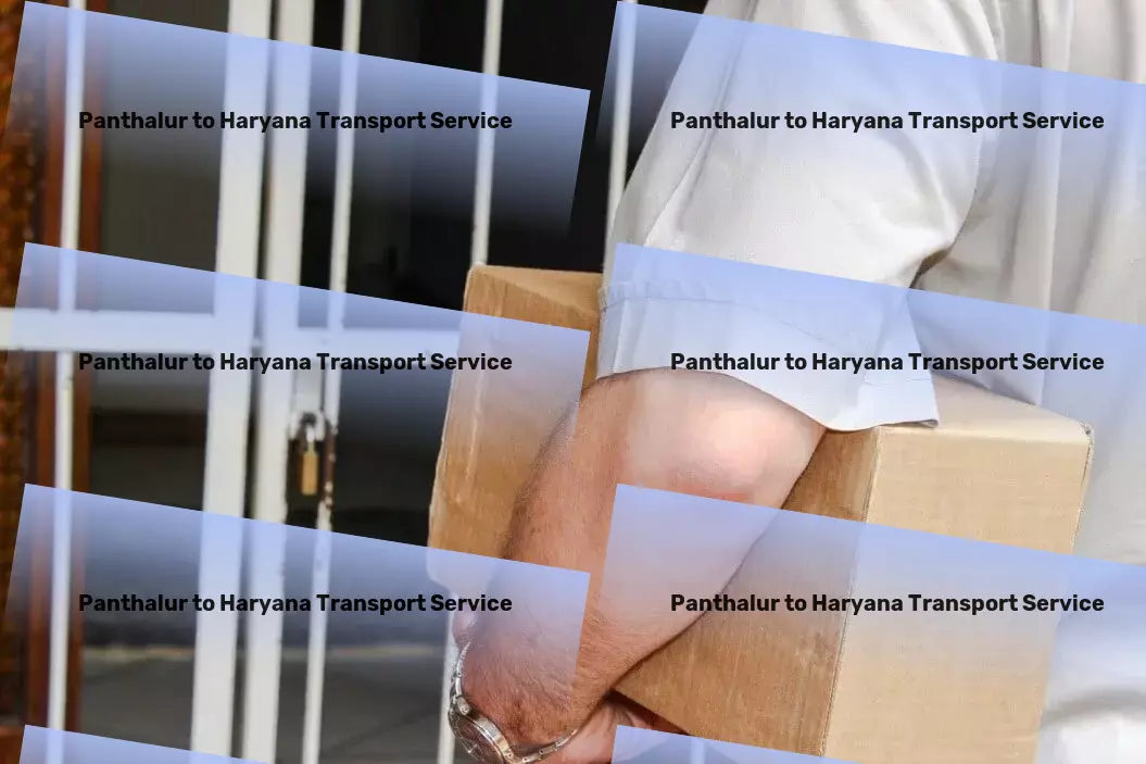 Panthalur to Haryana Transport Bridging gaps in the Indian transport sector seamlessly! - Professional transport services