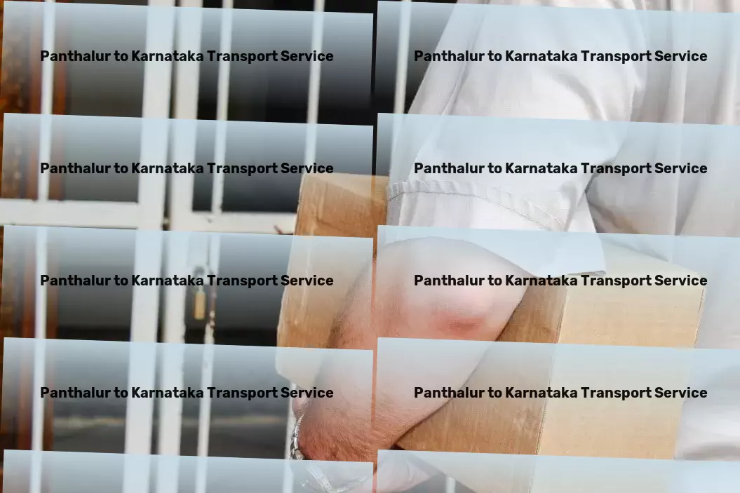 Panthalur to Karnataka Transport Express Delivery Services