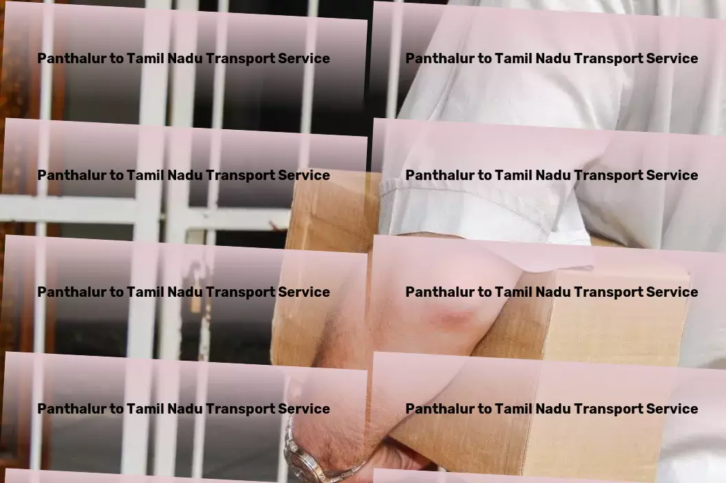 Panthalur to Tamil Nadu Transport Beyond boundaries: Shaping the future of transport in India. - Full-load cargo services