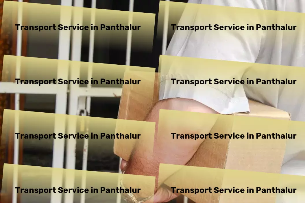 Courier And Parcel in Panthalur, Tamil Nadu (TN) Large-scale transport services