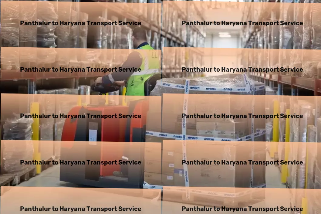 Panthalur to Haryana Transport Streamline your life with top-notch organization hacks! - Warehousing and distribution