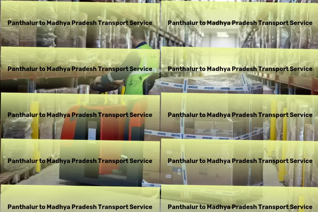 Panthalur to Madhya Pradesh Transport Interstate logistics