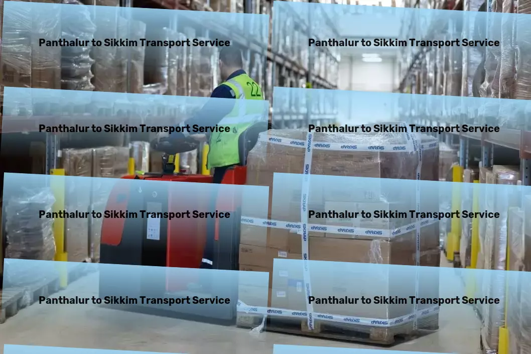 Panthalur to Sikkim Transport Embrace sustainability in your daily choices! - Large-scale shipping services