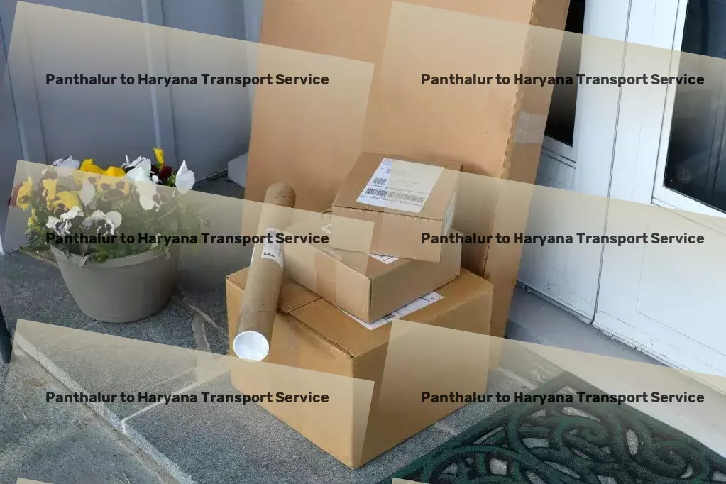 Panthalur to Haryana Transport Dedicated parcel services