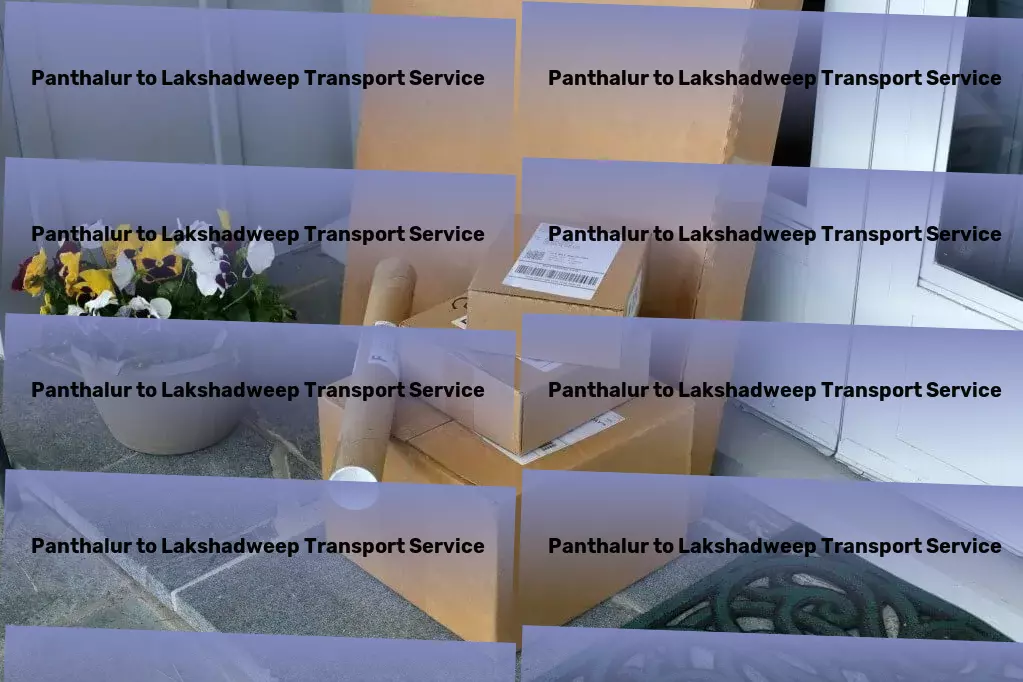 Panthalur to Lakshadweep Transport Cultivate a love for learning with educational resources! - Furniture relocation services