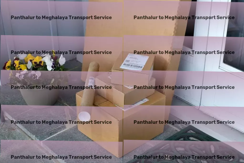 Panthalur to Meghalaya Transport Efficient goods dispatch