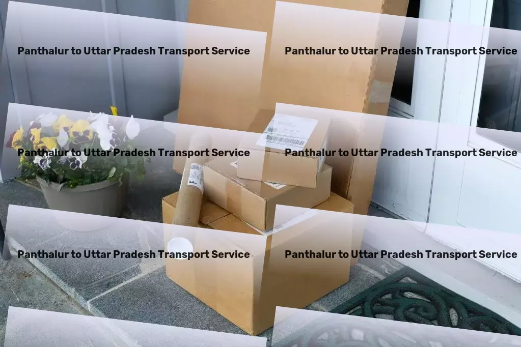 Panthalur to Uttar Pradesh Transport Express household moving