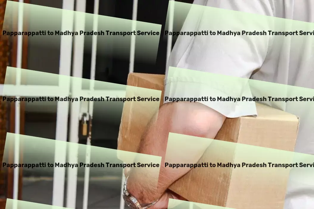 Papparappatti to Madhya Pradesh Transport Full-scale logistics solutions