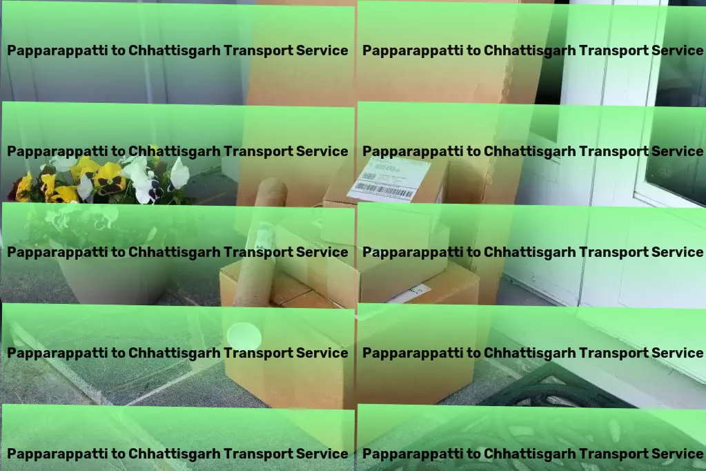 Papparappatti to Chhattisgarh Transport Embrace aging gracefully with positive lifestyle changes. - Fast courier services