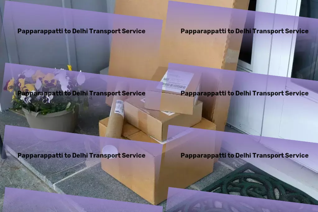 Papparappatti to Delhi Transport Full-scale moving services