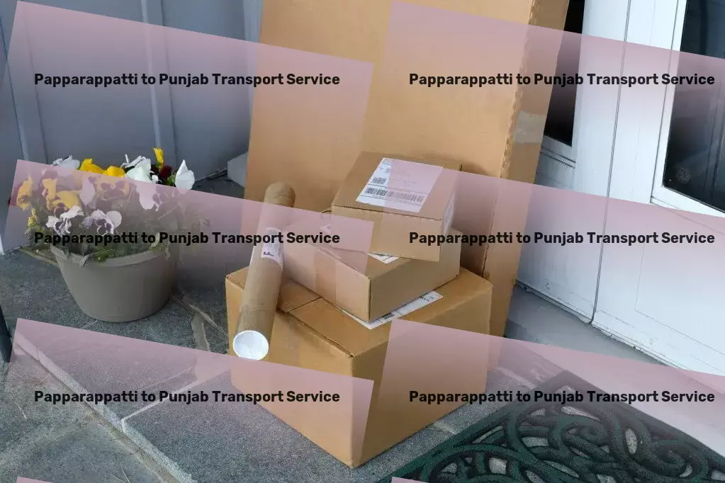 Papparappatti to Punjab Transport Customized truckload shipping