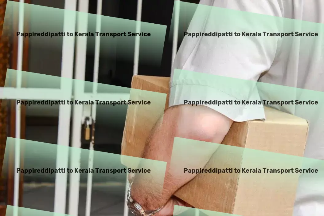 Pappireddipatti to Kerala Transport Comprehensive packer services