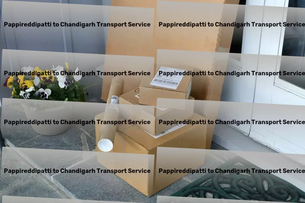 Pappireddipatti to Chandigarh Transport Professional freight solutions