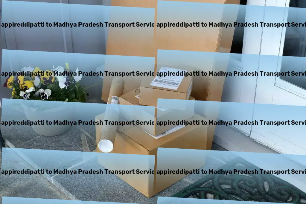 Pappireddipatti to Madhya Pradesh Transport Innovative shipping solutions