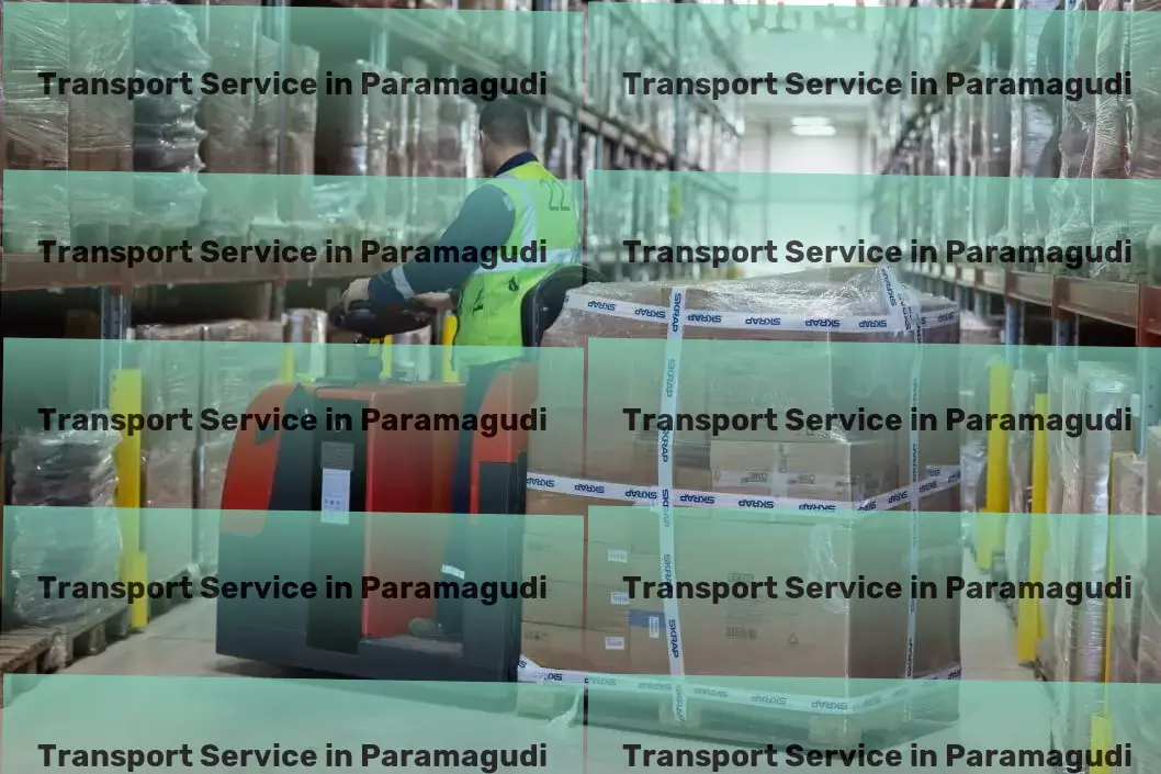 Courier And Parcel in Paramagudi, Tamil Nadu (TN) Multinational transport services