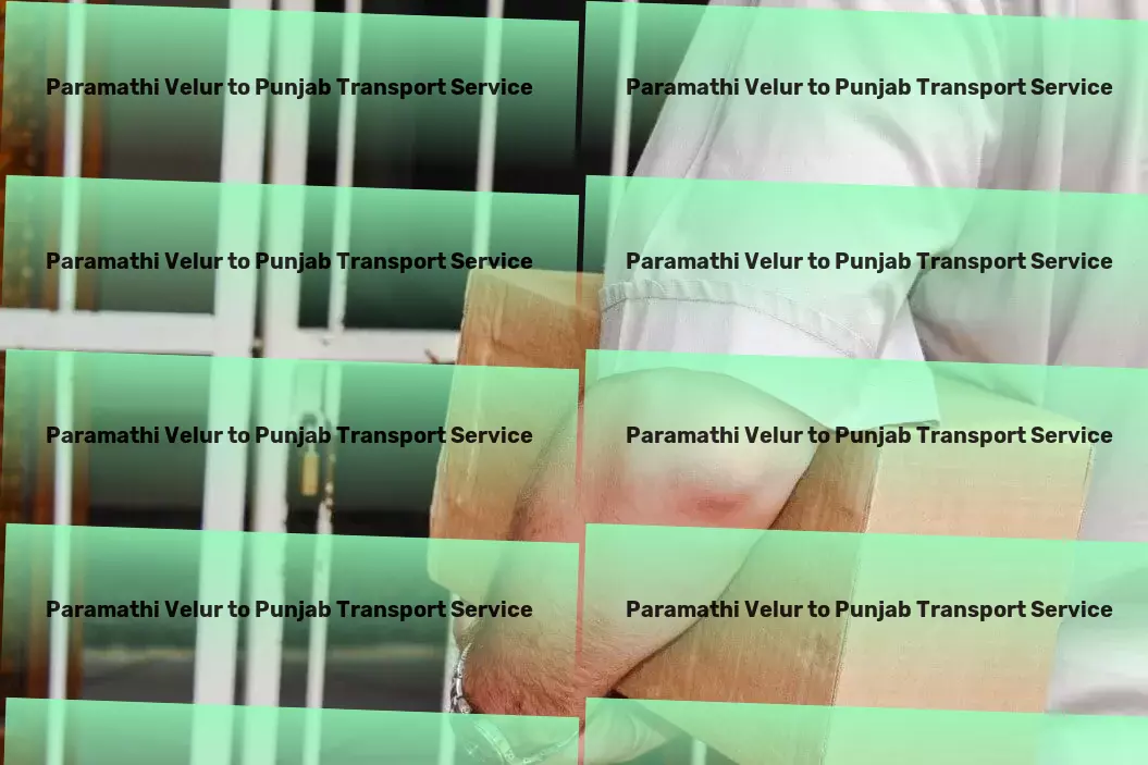 Paramathi Velur to Punjab Transport Multinational transport services